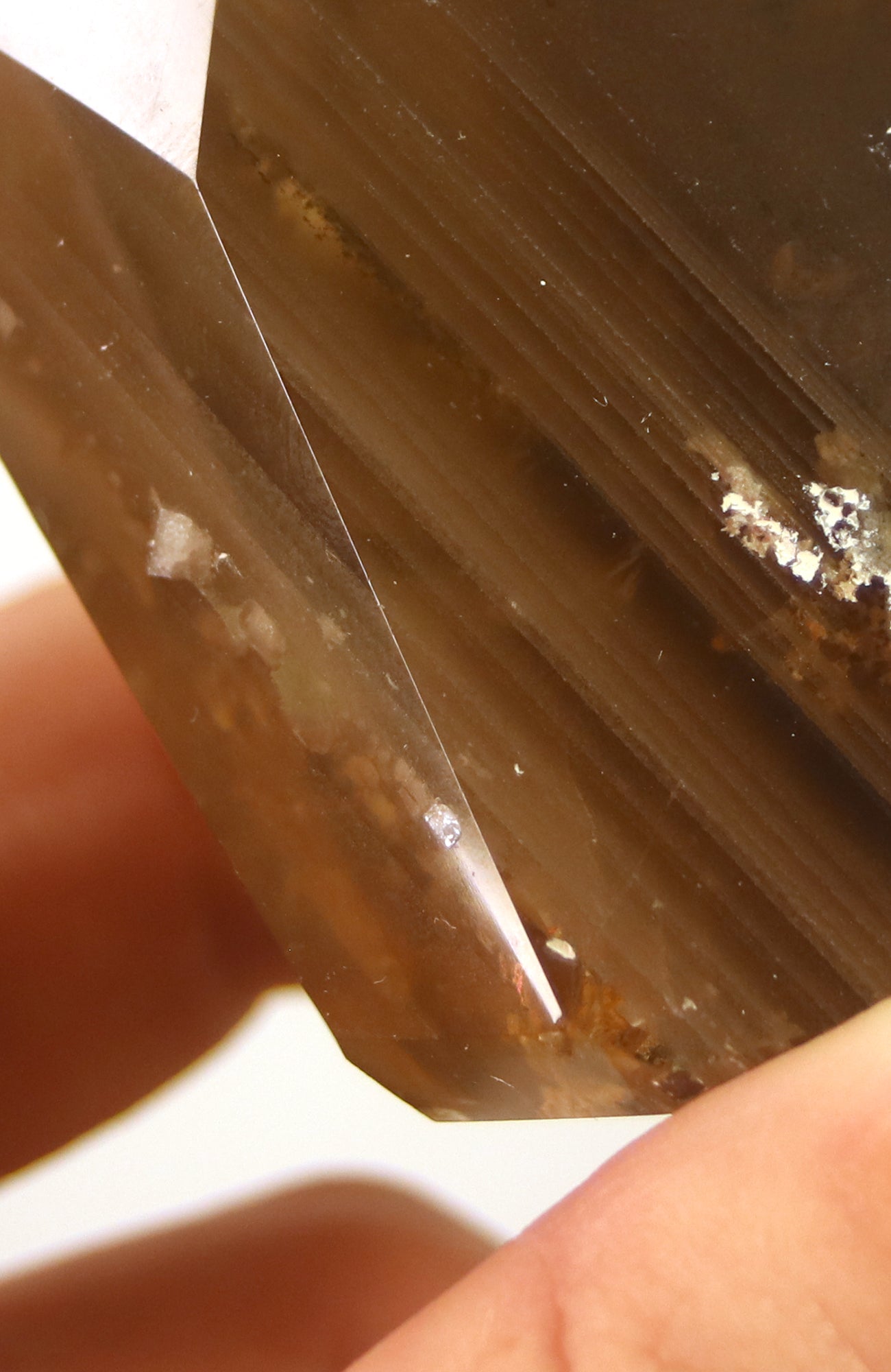 Lodalite Quartz Freeform Generator